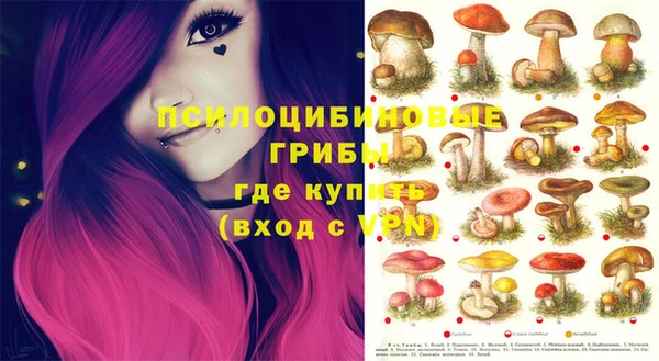 скорость Бородино