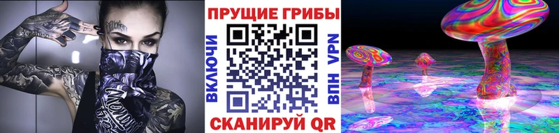как найти наркотики  Норильск  Галлюциногенные грибы мухоморы 